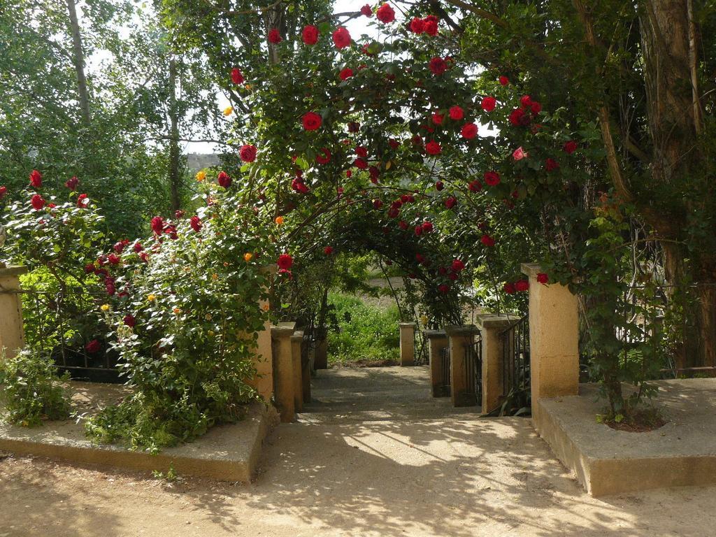 Vivienda Principal Torre De Campos ξενώνας Ainzon Εξωτερικό φωτογραφία